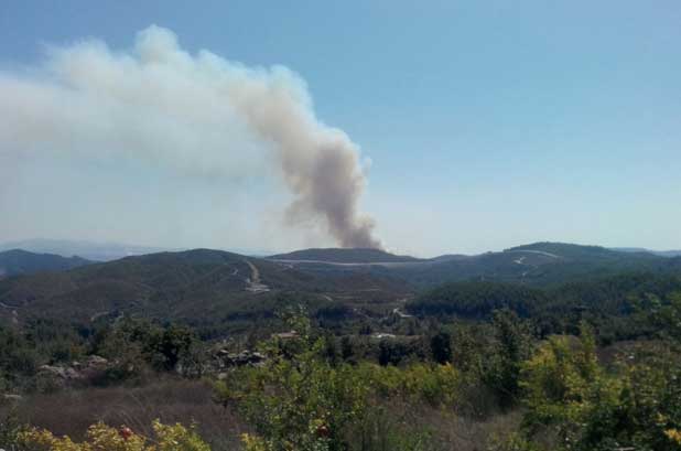 Hatay'da orman yangını çıktı