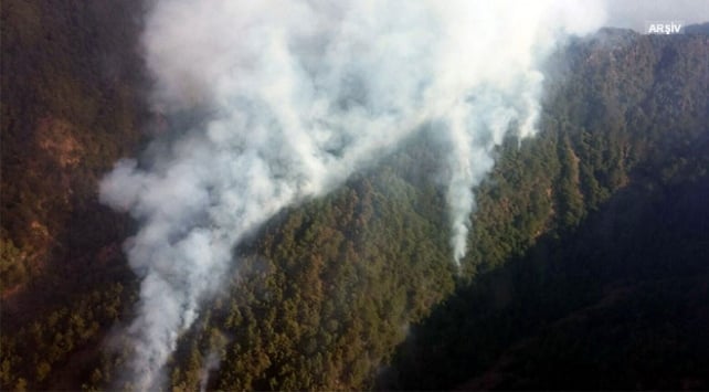 Hatay'da orman yangını çıktı
