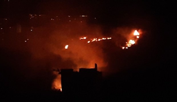 Hatay'da orman yangını çıktı