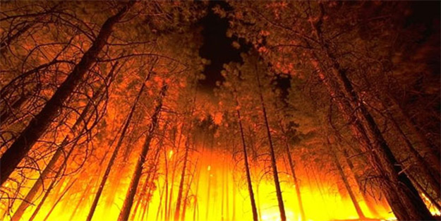 Hatay'da orman yangını