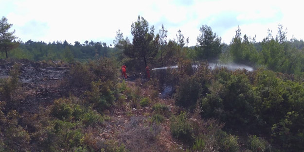Hatay'da orman yangını