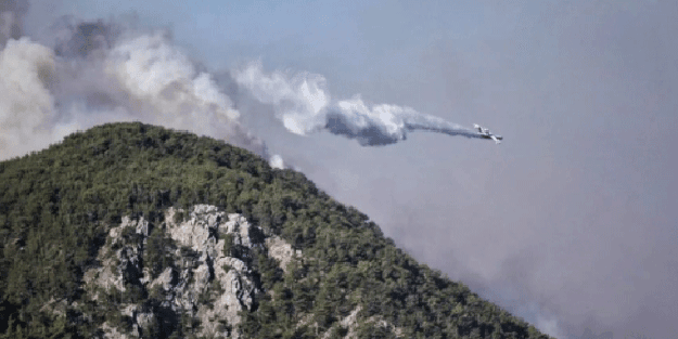 Hatay'da orman yangını!