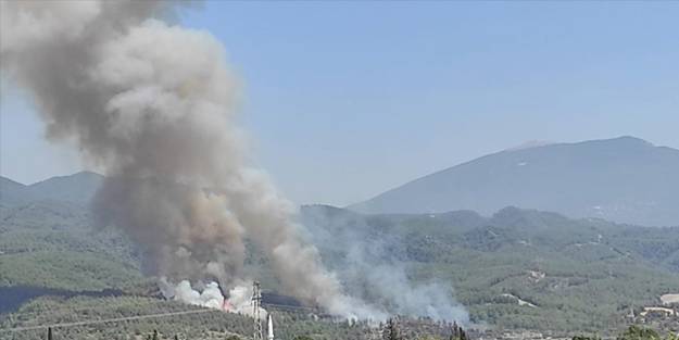 Hatay'da orman yangını