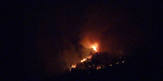 Hatay’da orman yangını