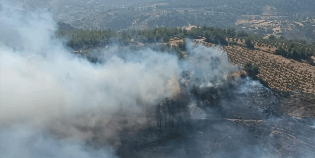 Hatay'da orman yangını