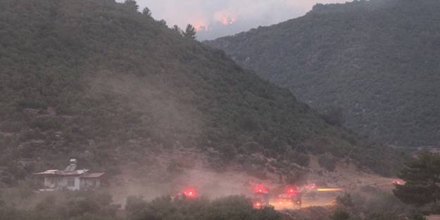 Hatay'da orman yangınına müdahale sürüyor
