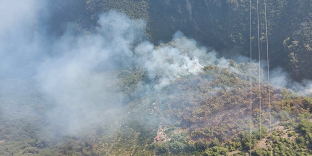 Hatay'da orman yangınları