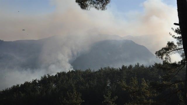 Hatay'da orman yanıyor