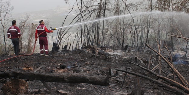 Hatay'da ormanlık alanda yangın