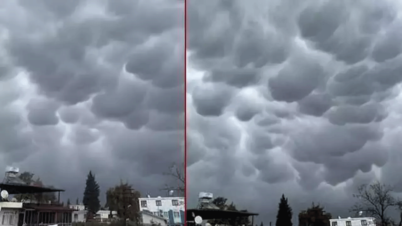 Hatay'da ortaya çıktı: Görenler cep telefonuna sarıldı!