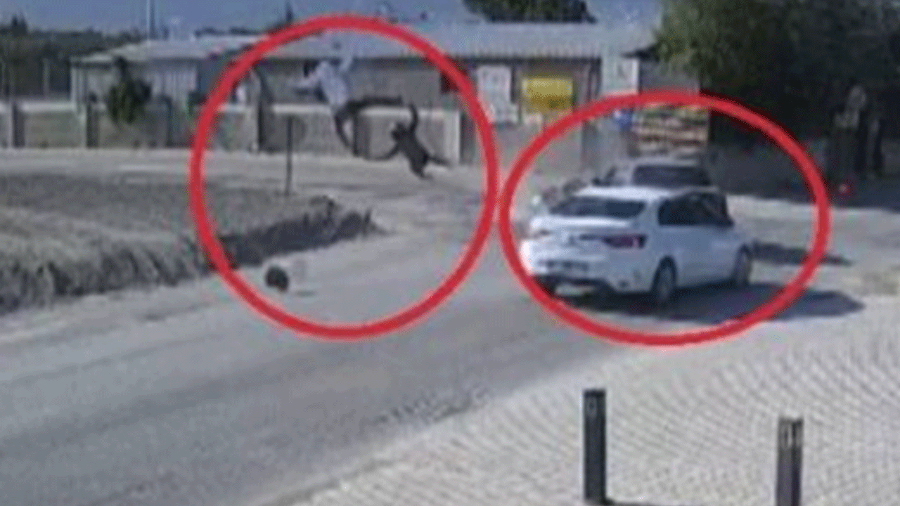 Hatay'da otomobille çarpıştı, metrelerce havaya uçtu: ''Bir daha motosikletin yanından geçmem''