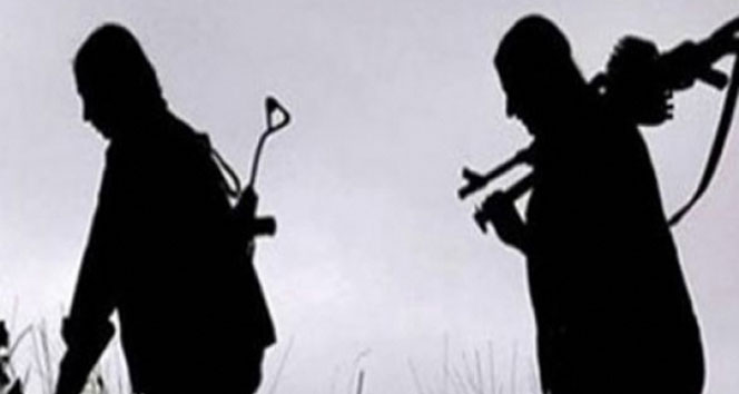 Hatay'da PKK/PYD mensubu 1 terörist yakalandı