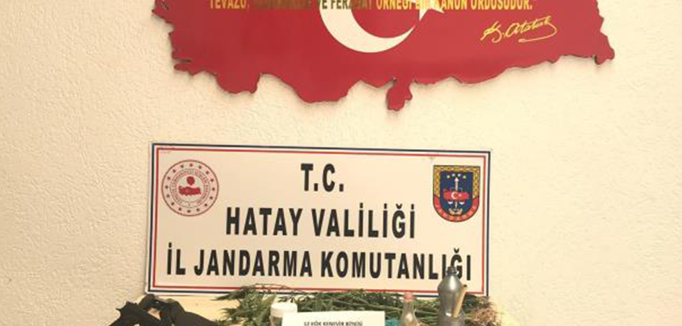 Hatay'da uyuşturucu operasyonlarında yakalanan 4 zanlıdan 3'ü tutuklandı