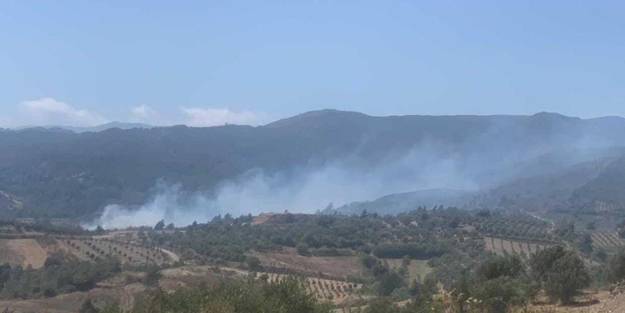 Hatay'da yine yangın çıktı