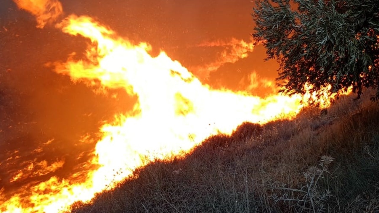 Hatay’da zeytinlik alanda yangın