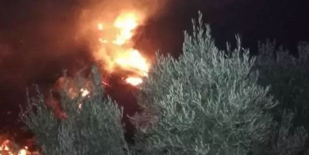 Hatay'da zeytinlik yangını 5 saat sonra söndürüldü