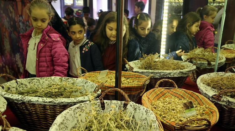 Hatay'daki müze ecza dolabı görevini üstleniyor