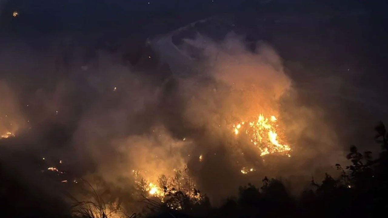 Hatay'daki orman yangını devam ediyor