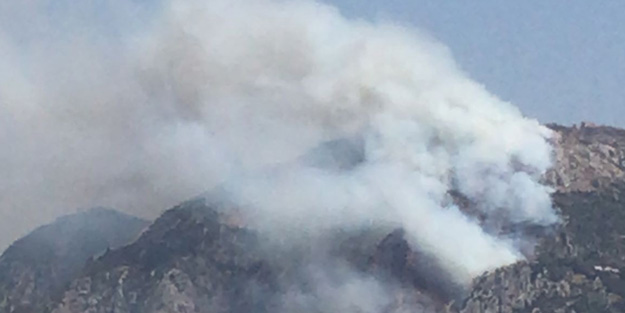 Hatay’daki orman yangını kontrol altına alındı