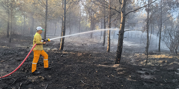Hatay'daki yangın söndürüldü