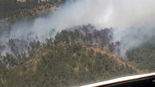 Hatay'daki yangında 25 hektar orman zarar gördü