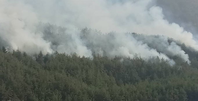 Hatay'ın Dörtyol ilçesindeki orman yangını kontrol altına alındı