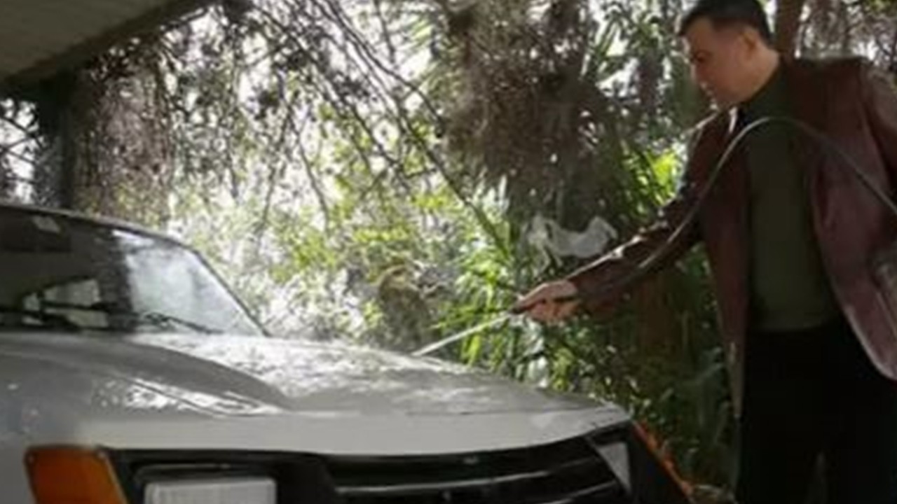 Hataylı Akademisyenin Anadol sevdası! Yıllara meydan okuyan iki efsane