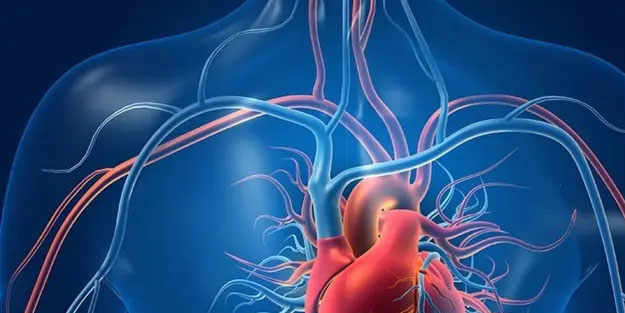 Hatice Kolçak: Bu yol rekor getirecek