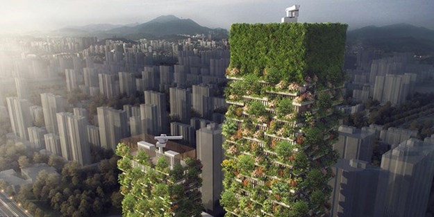 Hava kirliliğiyle mücadelede yeni silah: Dikey ormanlar