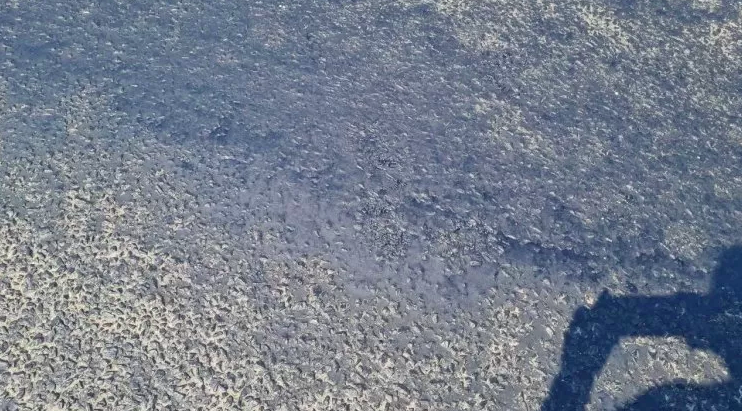 Hava sıcaklığı termometreleri zorladı, asfaltı eritti!