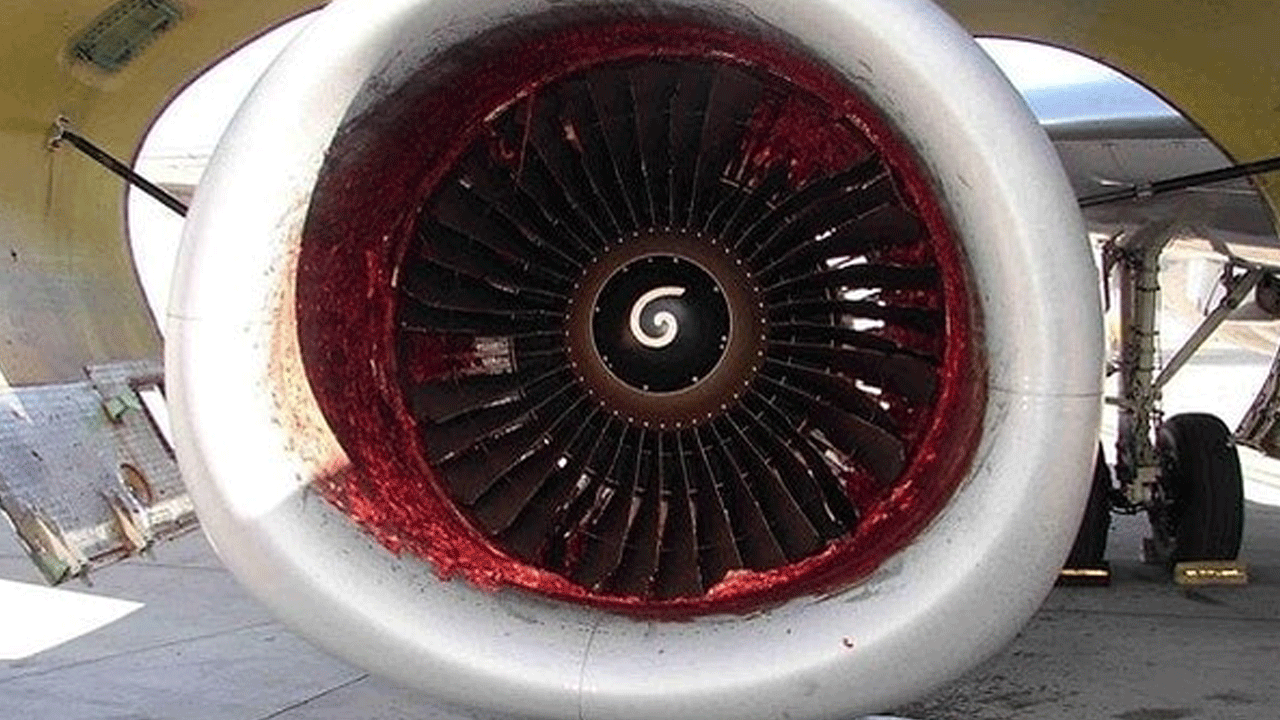 Havaalanında korkunç son! Uçağın motoruna çekildi, kıyma gibi küçük parçalara ayrıldı