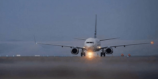 Havada büyük panik! Yılan, uçağa acil iniş yaptırdı