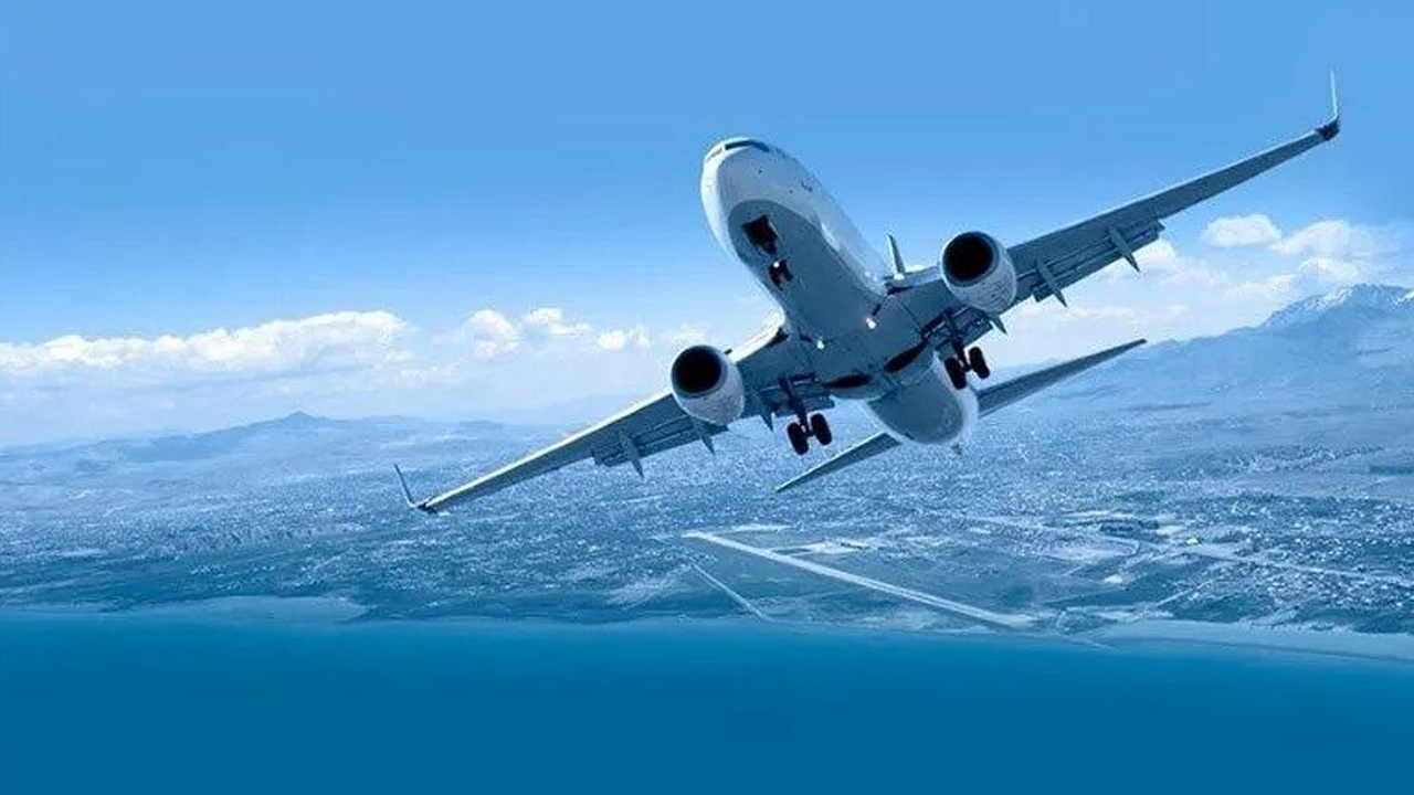 Havada kriz: Uçağa kuş çarpınca motor alev aldı!