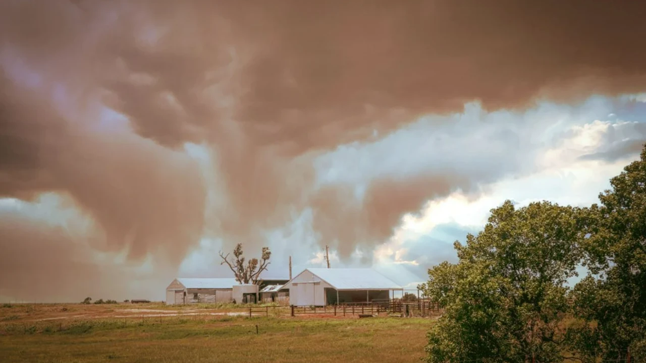 Havada tehlikeli zehir tespit edildi!