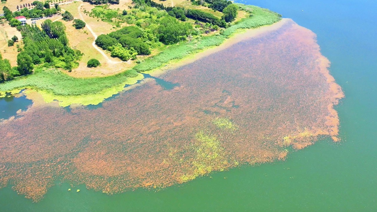 Havadan görüntüler büyüledi! Terkos Gölü ilkbaharda renklere büründü