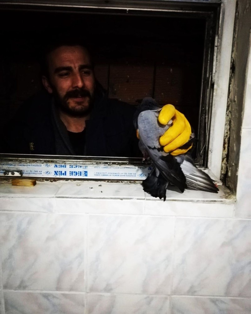 Havalandırma boşluğunda mahsur kalan güvercin itfaiye tarafından kurtarıldı 