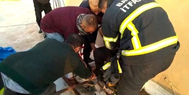 Havalandırma boşluğunda trajikomik olay! Canını derdinin düşeceğine…