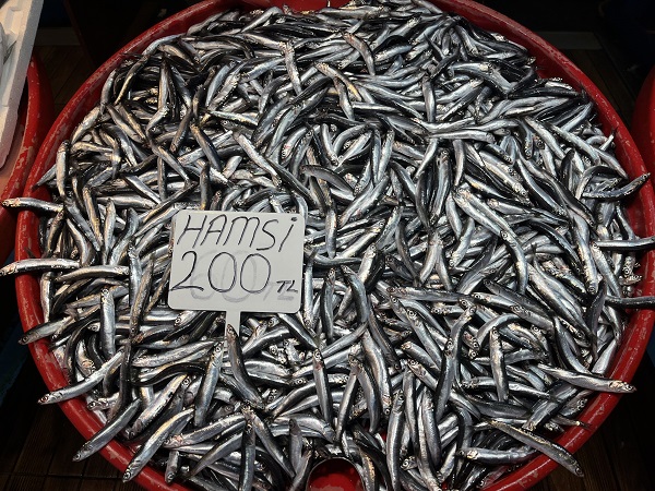 Havalar bozdu hamsinin fiyatı uçtu