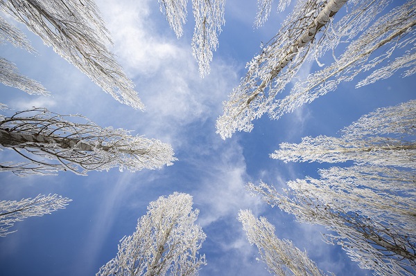 Havalar soğudu ortaya bu manzara çıktı