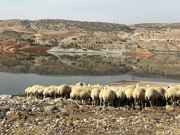 Havalar soğudu zorlu yolculuk başladı