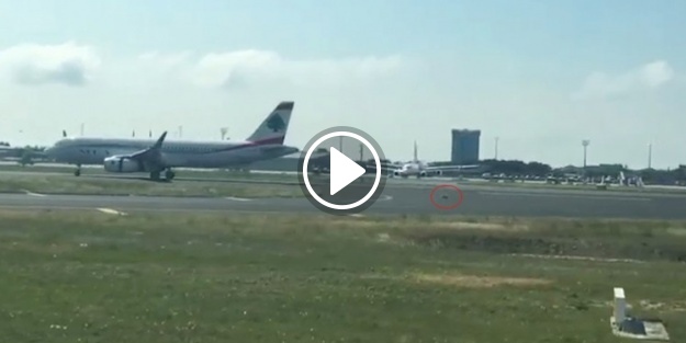 Havalimanı trafiğini altüst eden köpek kamerada