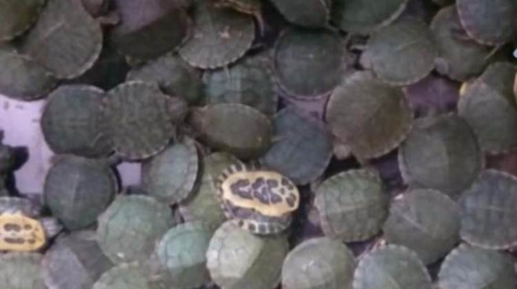 Havalimanı'nda görevlileri şaşkına çeviren olay!