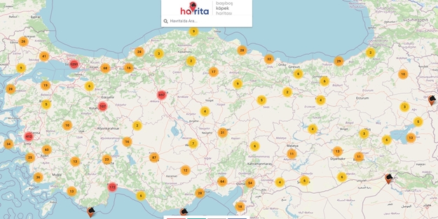Havrita, köpek rantçılarının ayarlarını bozdu! Binlerce saldırı kayıt altına alındı, 'köpekperestler' rahatsız oldu