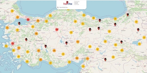 Havrita, 'köpekperestler'in ayarlarını bozdu! Vahameti gözler önüne seren uygulama çıldırttı