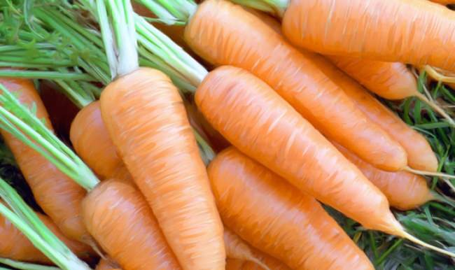 Havuçun bilinmeyen faydası!