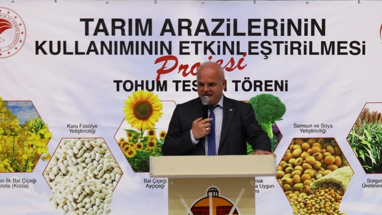 Havza’da 350 çiftçiye yağlık ayçiçeği tohumu desteği