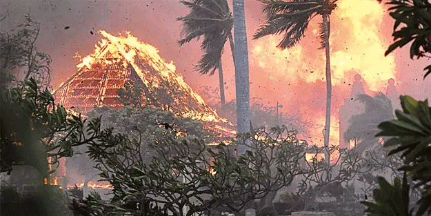 Hawaii'de ölenlerin sayısı 106'ya yükseldi