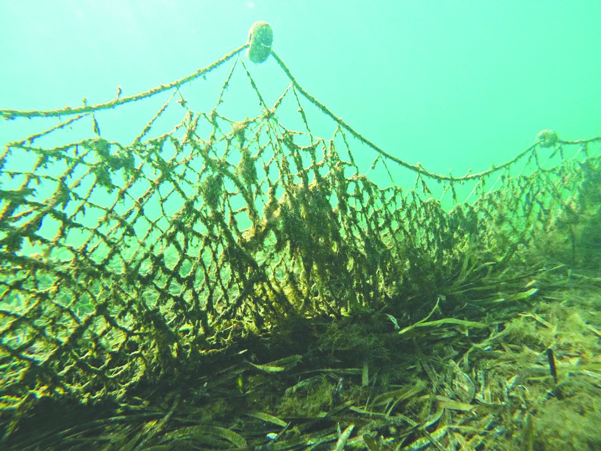 Hayalet ağlar canlılara zarar veriyor