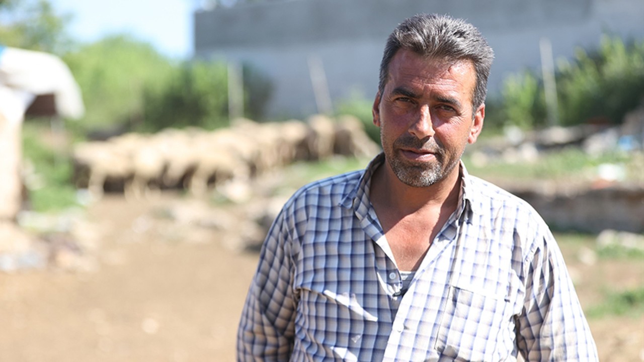 Hayalinin peşinden gitti, sürü sahibi oldu