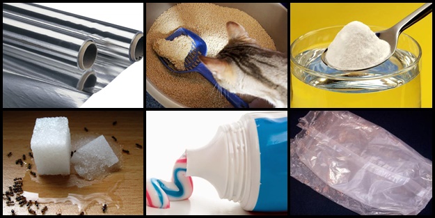 Hayat kolaylaştıran pratik bilgiler - FOTO